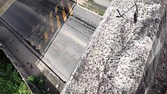 Я эта горячая пухлая брюнетка, которую трахают раком на публике с задранной мини-юбкой