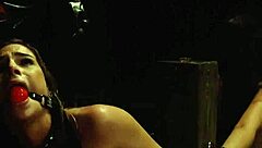 Strangers, you love dominating bound teens in public with extreme bondage fuck, right?