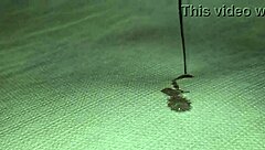 teasing my tied up dick until i drip and cum