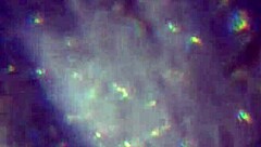 aqui tienen más de mi esperma, ¿alcanzará para preñarte? 😏🍆💦