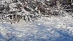 i narrate jerking off riskily in a public park near people