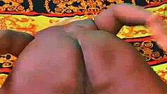 sundaydogood614 shares update 564 from oct 24 2024 with vid 20241024 160302