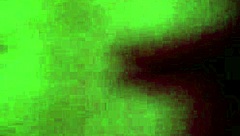 Introducing My Friend Lupe As An Amateur In The Video