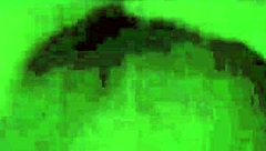 oh my secret life, the erotic confessions of a victorian english gentleman with sensual vintage fucking and hairy pussy