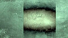 this asian chick dives into interracial hairy fucking in a retro vintage scene