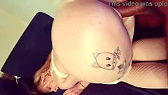 teasing interracial striptease with baby kitten leads to big black cock doggystyle pov fucking and ass shaking