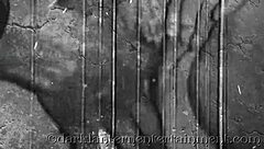 О вау, нырни в винтажный мир, где Dark Lantern показывает интригующие тайны моей секретной жизни!