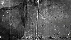 Oh Wow, Dive Into The Vintage World Where Dark Lantern Entertainment Unveils The Intriguing Tales From My Secret Life!