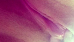 ahh i'm all covered in cum and need a real penis to fully satisfy me hehe