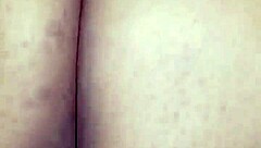 bbw rides in reverse cowgirl