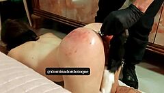 Encontrei Essa Cachorrinha Gostosa Perdida Na Rua Precisando De Um Dono Levei A Safada Para Meu Ap E Fodi A Buceta E O Cuzinho Dela Completo No Xred