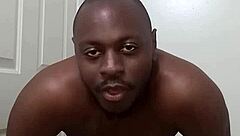 Learning Bathroom Habits From Pet Dog To Avoid Mess Around Anus Without Leaving Traces