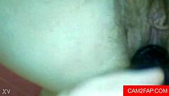 do you want to watch this amateur fingering her wet pussy with toys in free porn?