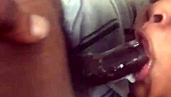 若いママが巨大な黒いチンポを吸うのを見て興奮する