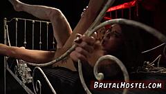 I feel so excited trying teen feet solo for my first time as a youthful tourist like Felicity Feline.