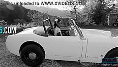 I Adore This Mixed Race Petite Asian Babe Alexandra in Lingerie for Softcore Solo Striptease