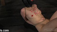 Dive into this free sadomasochism erotica that explores intense desires and thrilling power dynamics!