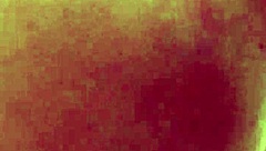 loirinha, you giving that pink pussy in the motel, huh?