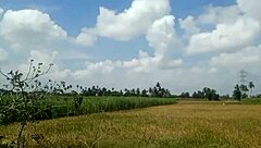 I feel so excited showing my big boobs in the village house