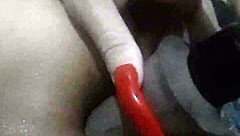 Watch Kamilly Campos Shove That Dildo Right Up Her Ass!