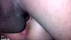 Gorilla Pounds Shaved Latina Pussy In Intense Hardcore Missionary With Monster Black Cock