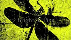 is the dragonfly from dark lantern entertainment tempting you into a vintage hairy beaver gangbang orgy with retro monsters?