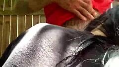 갹트리지가 재미있는 그룹 씬에 나와