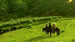 brooke ballentyne entices the hired ranch hand into outdoor fucking by the fireside with creampie finish