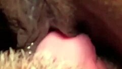 Flowerandlouis Update 5 Shares Morning After Laughs with Comedy in Everyday Life on July 13 2024