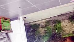 Pillé esa vista rápida de upskirt en la tienda mientras compraba.