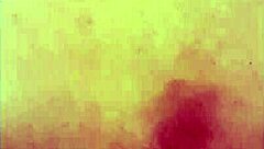 trying out xl flint and sleipnir toys while using a condom for safety