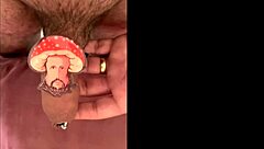 Seasonal Compilation Gift Featuring Various Casting And Interview Moments