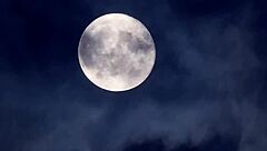 I'm so drawn to this hot foursome sex happening right at the graveyard with American babes and milfs.