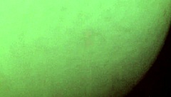 Wife Doggie Style Action!