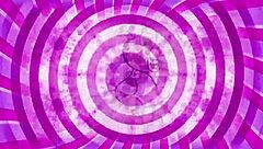 in this casual tale nub dives into intense chastity training with femdom jerk off instructions guiding every step toward pussy denial