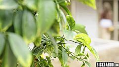 Petite Vanna Bardot fucks lover Seth intensely before he unexpectedly leaves her