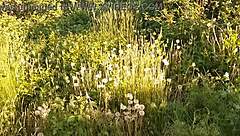 we're out here masturbating with the neighbor on the street, cumming together 😏