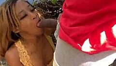 Exciting Quickie At The Beach!