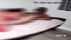 Kdo hoče z nami v dvojni BBC bang z ebony milf kurbo?