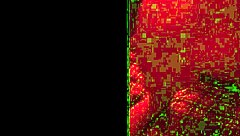 Will this be you someday