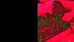 Will this be you someday