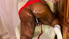 nigarchrist shares update 1385 on petal from june 11 2025