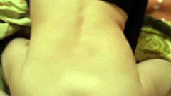 Pedrito el topito explores amateur adventures in everyday settings.