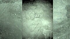 Hey, check out these vintage lesbians diving into hairy pussy action in a retro bisexual group scene.