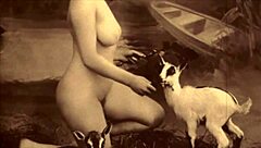 From my secret life, the erotic confessions of a Victorian English gentleman, shares Dark Lantern Entertainment.