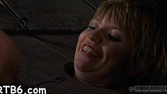 Flogging Sadomasochism Stories Filled With Intense Bound Doggystyle Fucking And Rough Hardcore Pussy Seduction