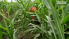 Stepbrother The Escaped Prisoner Part 1 Features Blonde In 3some Blowjob And Pussy Fucking