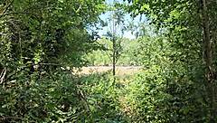 clapham common cruising trails - june 2025