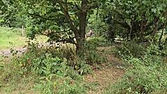 clapham common cruising trails - june 2025