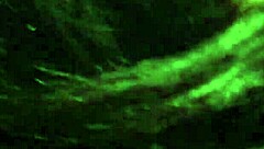 Kingdinglong receives oral attention from a mature white cougar in an interracial encounter.